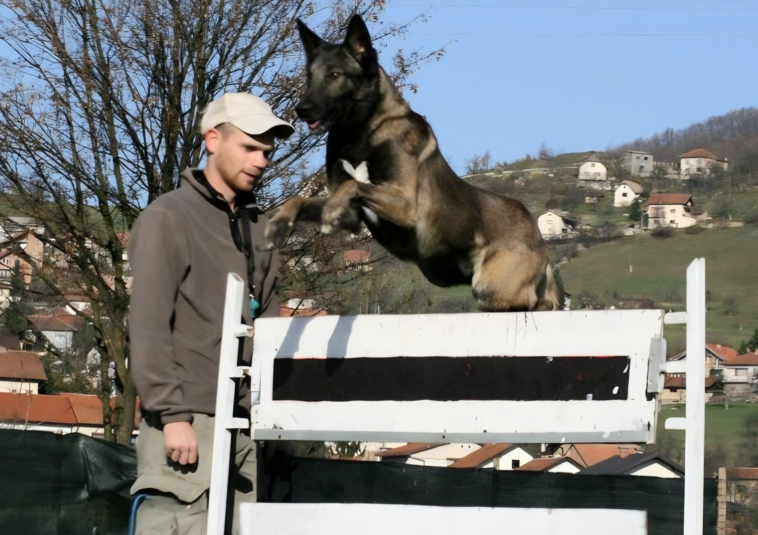 Panzer NPA Detection dog 3