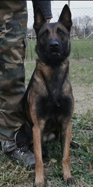 Zinzi